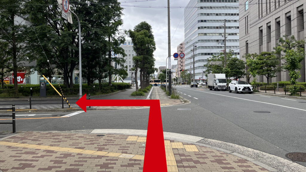 歩道と歩道の間に車道があり、向こう岸のビルにはスギ薬局が見える
